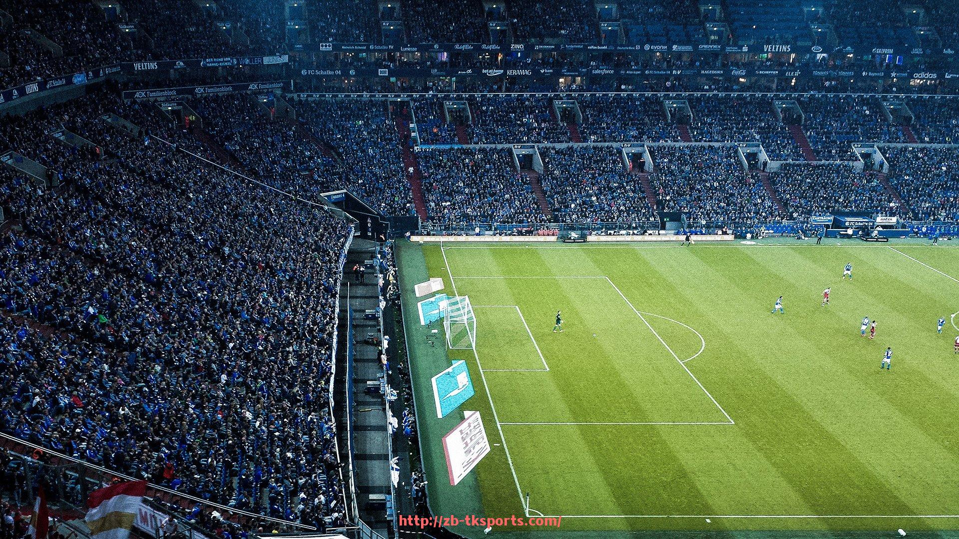 TK体育直播-宣城舒华健身器材供应及其在体育锻炼中的应用介绍